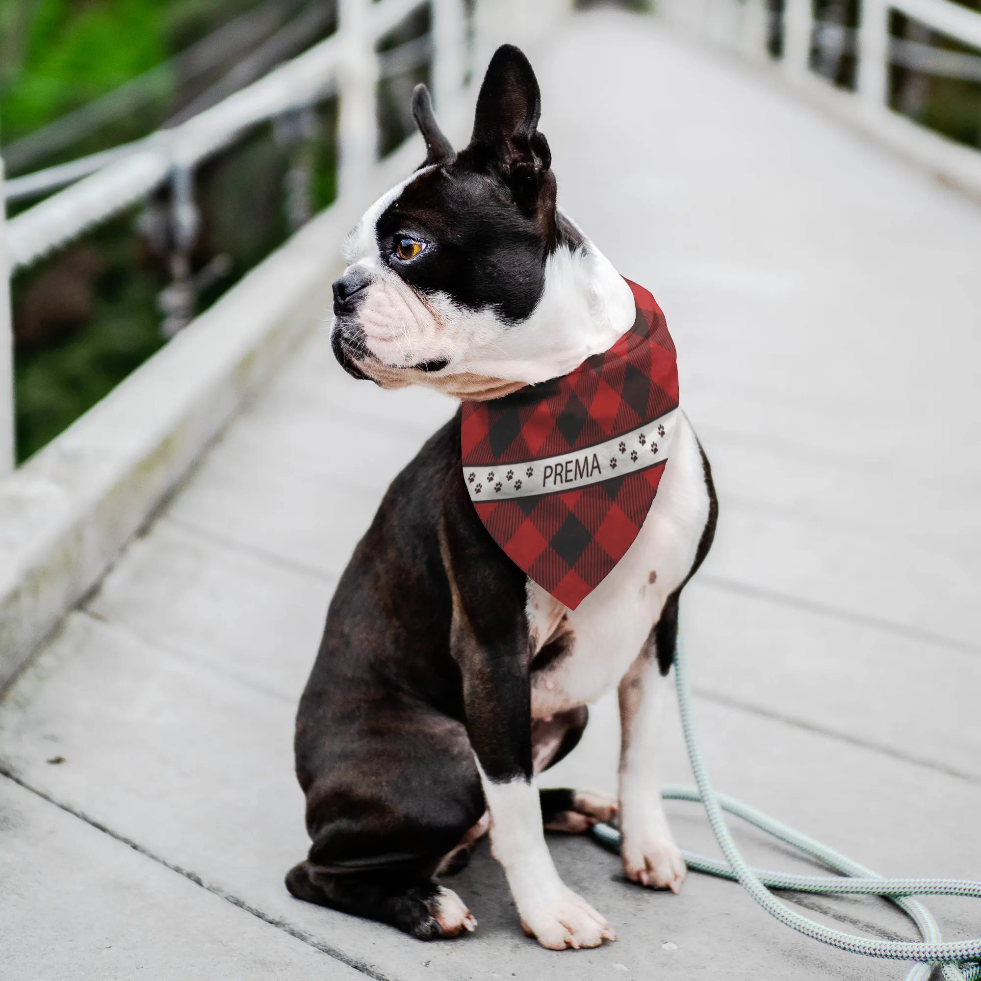 Personalized Dog Bandana Red Flannel Prema